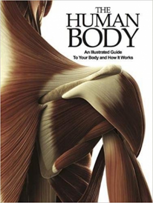 The Human Body: An Illustrated Guide To Your Body And How It Works