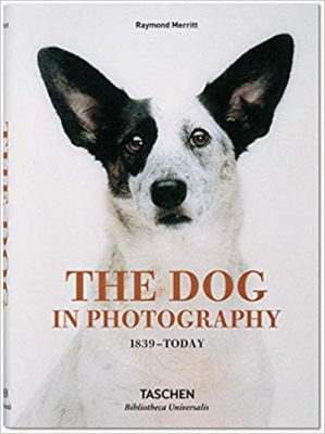 The Dog in Photography: 1839-Today