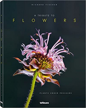 A Tribute to Flowers (PHOTOGRAPHY) (French Edition) (French)