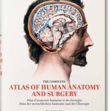 Bourgery. Atlas of Human Anatomy and Surgery